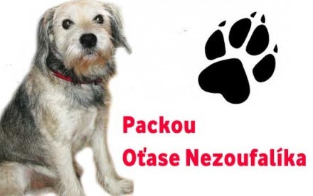 Toto je jen temp image. Tady bude player pro povidku…